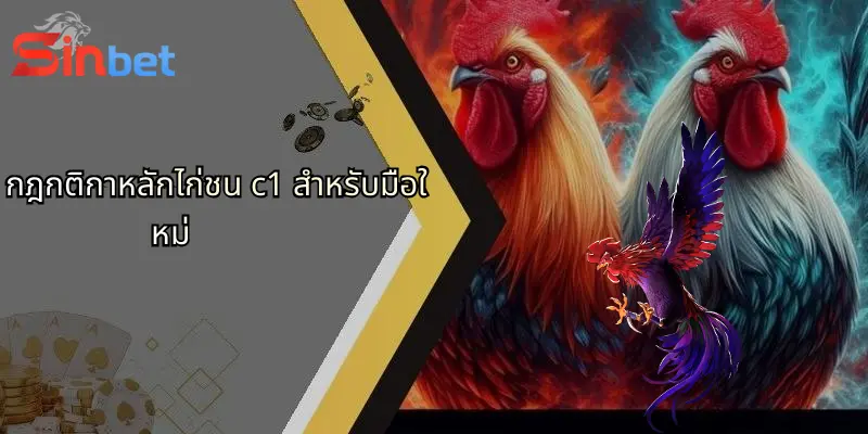 ไก่ชน C1: เปิดโลกการเดิมพันและประสบการณ์เหนือระดับผ่าน Sinbet 5 กฎกติกาหลักไก่ชน c1 สำหรับมือใหม่