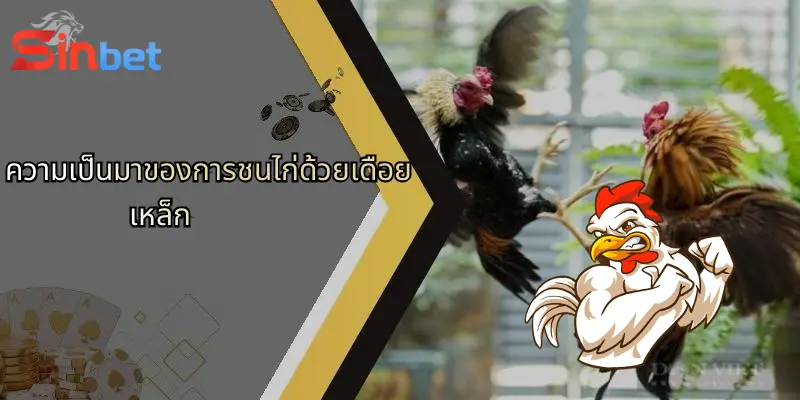 การชนไก่ด้วยเดือยเหล็ก: โลกของการเดิมพันที่รวมทักษะและกลยุทธ์บน Sinbet 2 ความเป็นมาของการชนไก่ด้วยเดือยเหล็ก