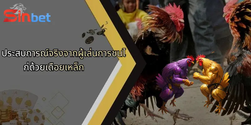 การชนไก่ด้วยเดือยเหล็ก: โลกของการเดิมพันที่รวมทักษะและกลยุทธ์บน Sinbet 4 ประสบการณ์จริงจากผู้เล่นการชนไก่ด้วยเดือยเหล็ก