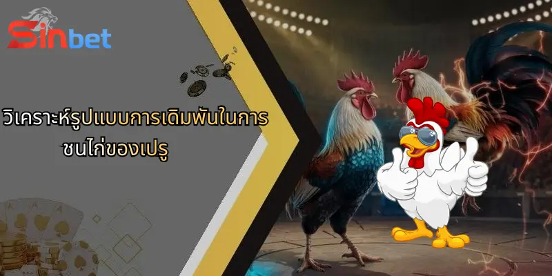 การชนไก่ของเปรู: เสน่ห์ อรรถรส และวิธีเดิมพันกับ Sinbet 3 วิเคราะห์รูปแบบการเดิมพันในการชนไก่ของเปรู